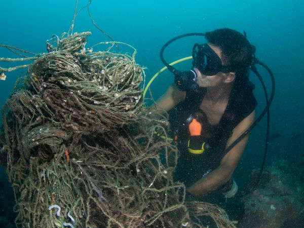 Diver removing ghost nets from coral reef