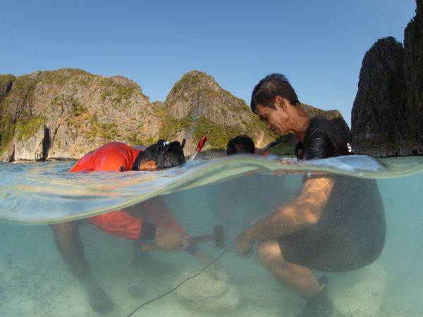 Building coral nursery structures in Maya Bay