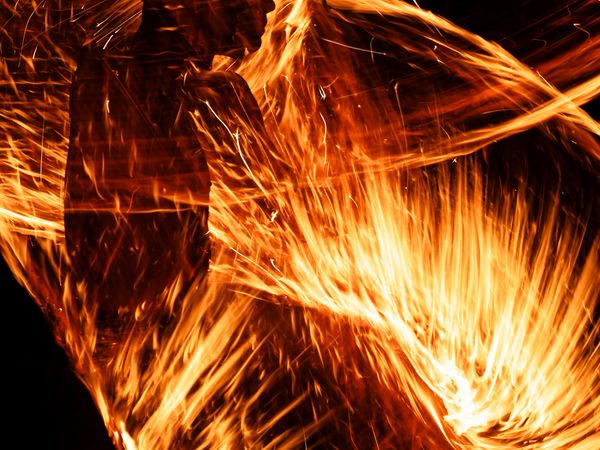 Fresh ingredients and food preparation