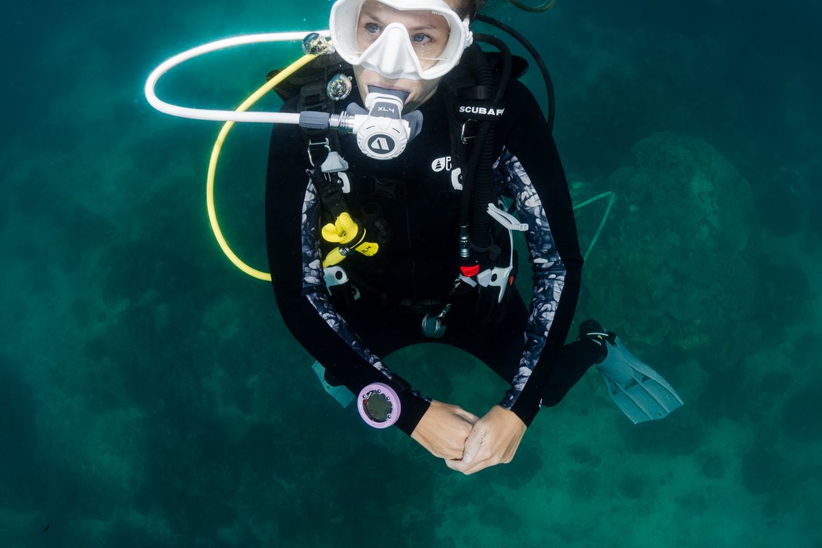 Commercial underwater photography featuring dive equipment and professional underwater scenes