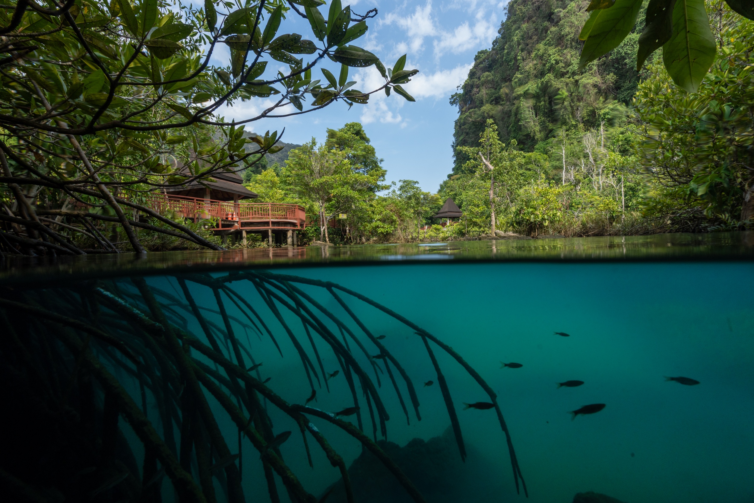Photographer Crystal River Kayaking Krabi