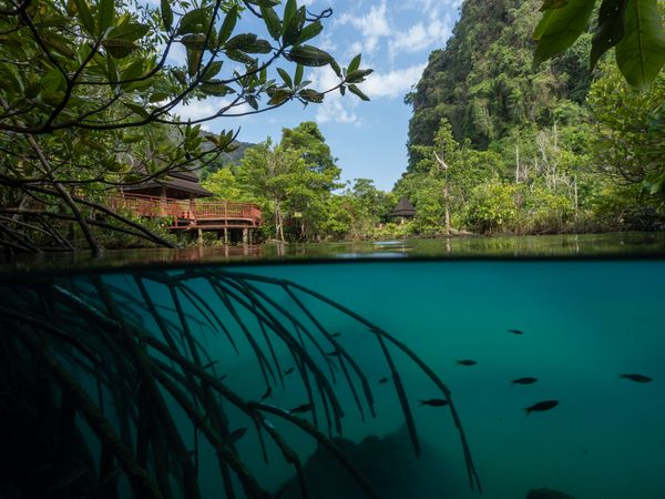 Crystal river kayaking adventure in Krabi