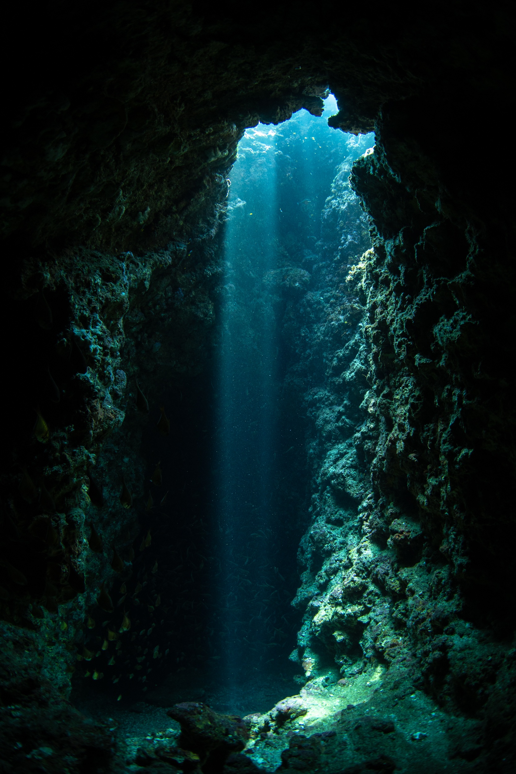 Magnus Larsson Underwater Photographer The Chimney Koh Haa