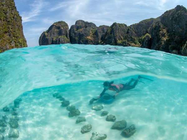 Coral restoration efforts in Maya Bay