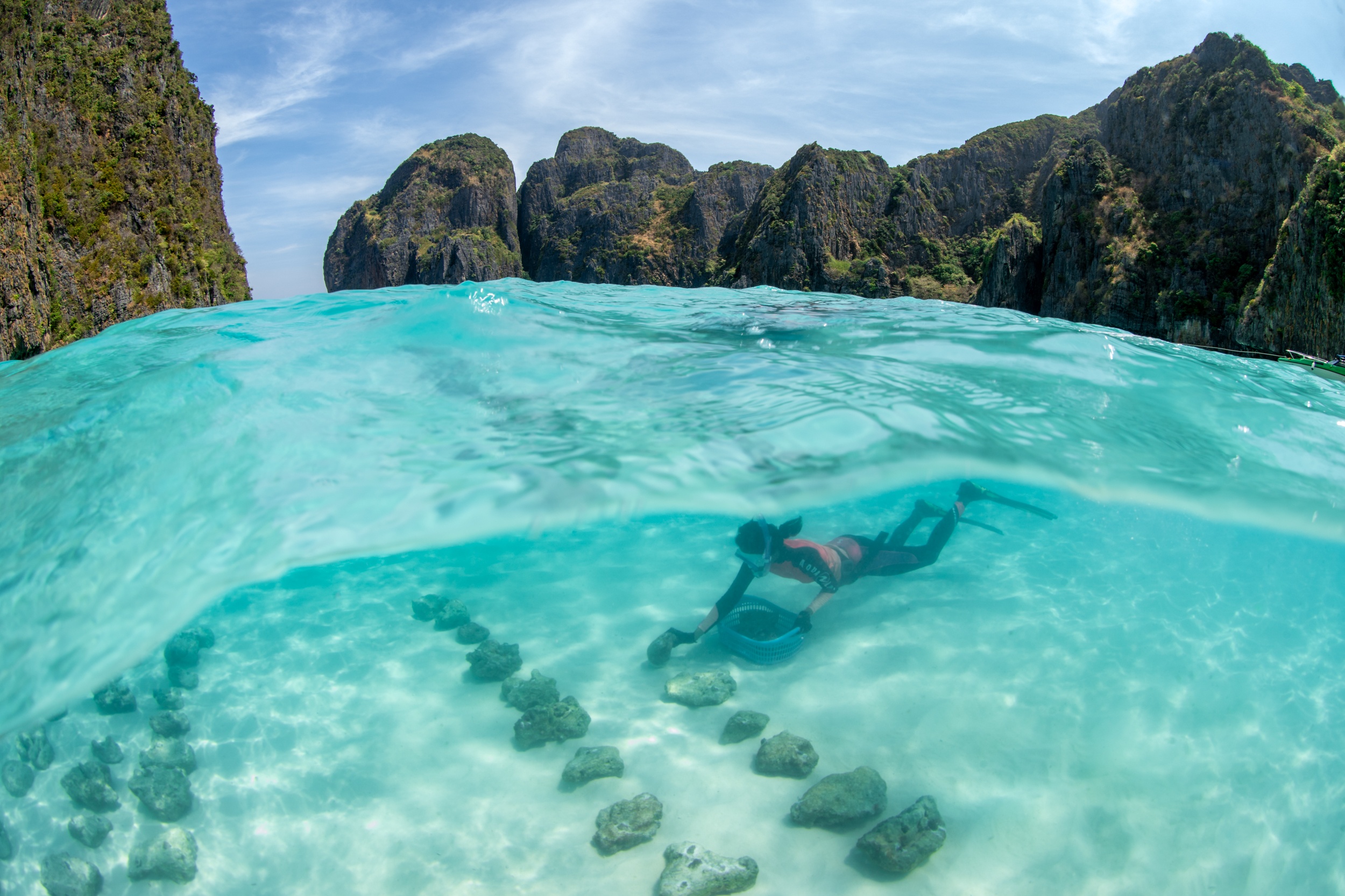 Magnus Larsson Underwater Photograher Koh Phi Phi Coral Propagation Maya Bay